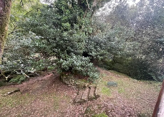 Casa Os Batans Gospodarstwo wiejskie *