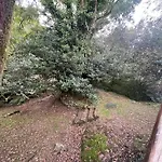 Casa Os Batans カントリーハウス *